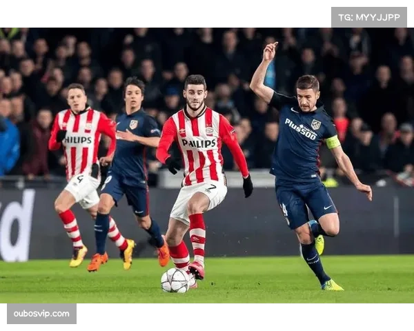 勒沃库森伤病情况更新 关键球员状态影响欧战前景